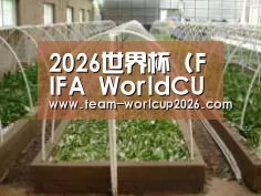 环境展示五