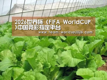 种植基地一