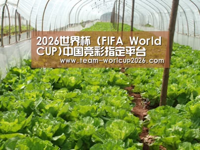 种植基地五