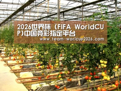 种植基地二