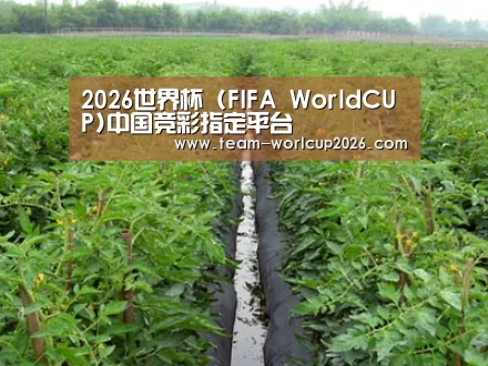 种植基地三