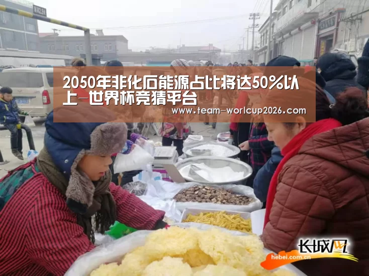 2050年非化石能源占比将达50%以上-世界杯竞猜平台(图2) 世界杯竞猜平台